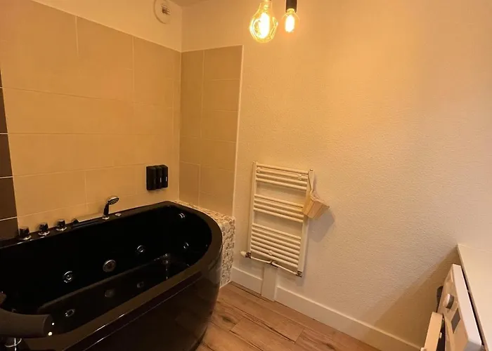 아파트 Balneo Jardins D'eloise A 툴루즈